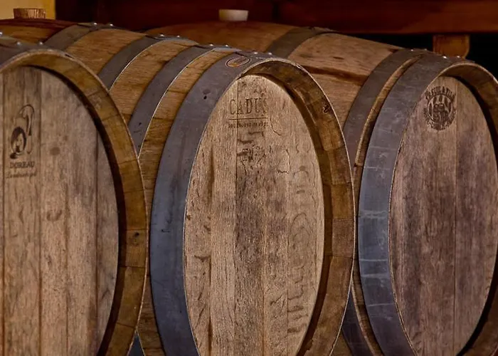 Il Murales ファームステイ Su Loi